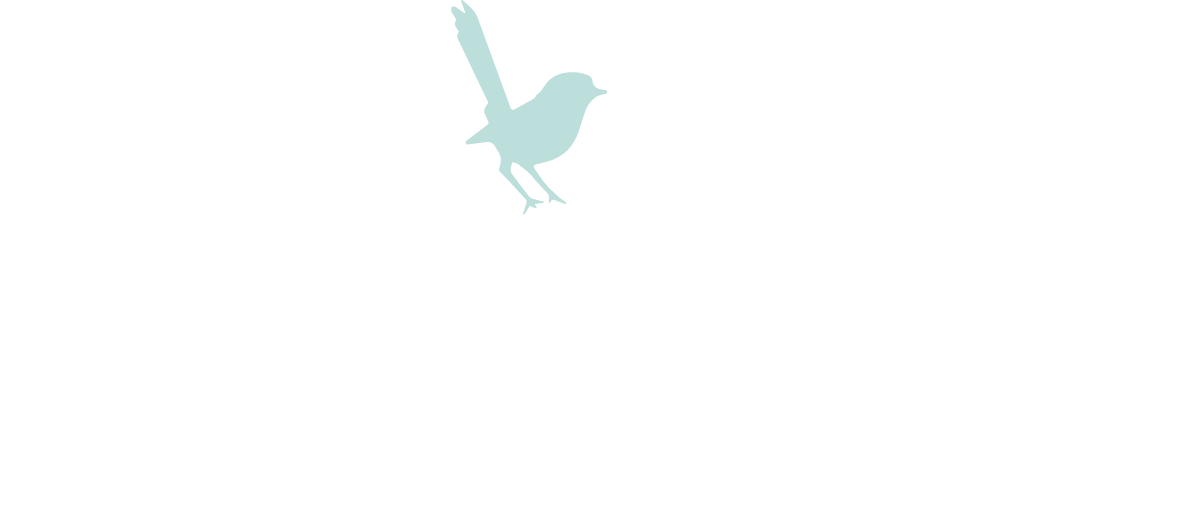 Bluebird Capital